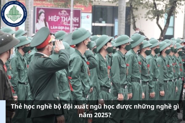 Thẻ học nghề bộ đội xuất ngũ học được những nghề gì năm 2025? (Hình từ Internet)