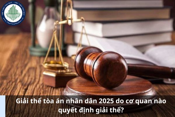 Giải thể tòa án nhân dân 2025 do cơ quan nào quyết định giải thể? (Hình từ Internet)