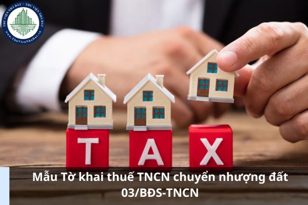 Mẫu Tờ khai thuế TNCN chuyển nhượng đất 03/BĐS-TNCN (Hình từ Internet)