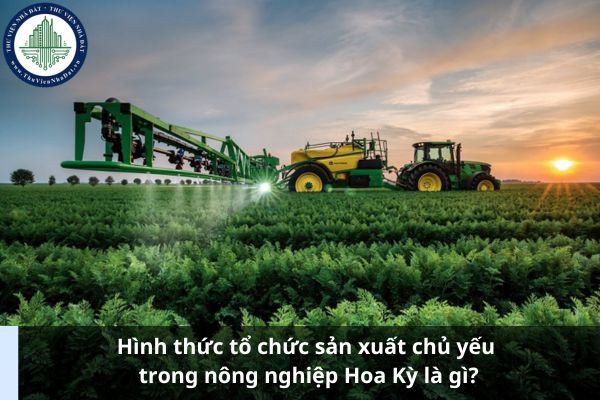 Hình thức tổ chức sản xuất chủ yếu trong nông nghiệp Hoa Kỳ là gì? (Hình từ Internet)