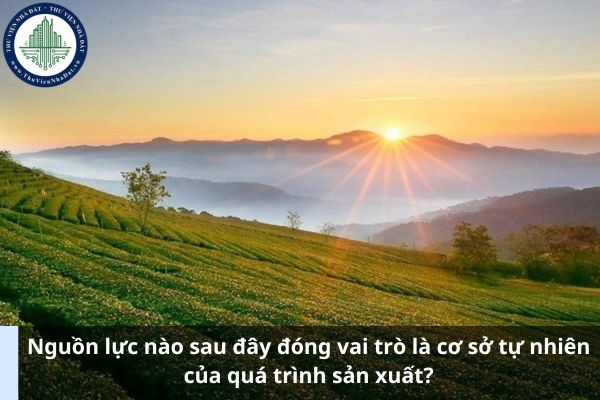 Nguồn lực nào sau đây đóng vai trò là cơ sở tự nhiên của quá trình sản xuất?