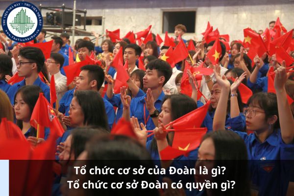 Tổ chức cơ sở của Đoàn là gì? Tổ chức cơ sở Đoàn có quyền gì? (Hình từ Internet)