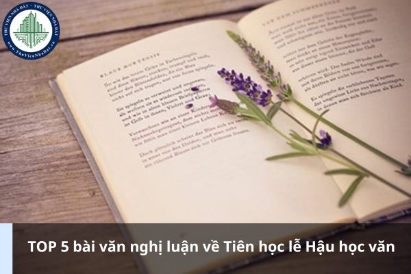 TOP 5 bài văn nghị luận về Tiên học lễ Hậu học văn