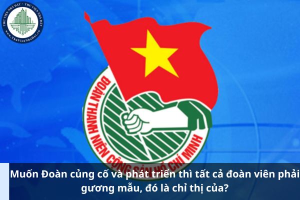 Muốn Đoàn củng cố và phát triển thì tất cả đoàn viên phải gương mẫu, đó là chỉ thị của? (Hình từ Internet)