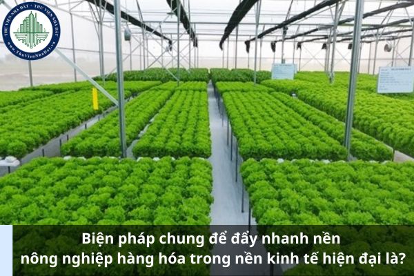 Biện pháp chung để đẩy nhanh nền nông nghiệp hàng hóa trong nền kinh tế hiện đại là?