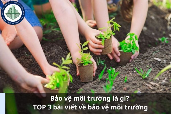 Bảo vệ môi trường là gì? TOP 3 bài viết về bảo vệ môi trường