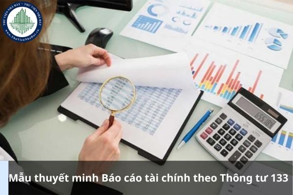 Mẫu thuyết minh Báo cáo tài chính theo Thông tư 133