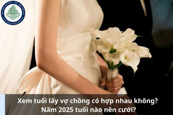 Chồng Tuổi Dần Vợ Tuổi Thìn Có Hợp Nhau Không? Khám Phá Mối Quan Hệ Và Những Bí Quyết Thành Công