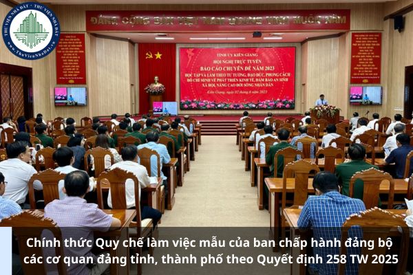 Chính thức Quy chế làm việc mẫu của ban chấp hành đảng bộ các cơ quan đảng tỉnh, thành phố theo Quyết định 258 TW 2025