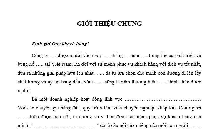 Mẫu hồ sơ năng lực công ty
