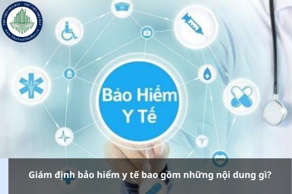 thuviennhadat.vn