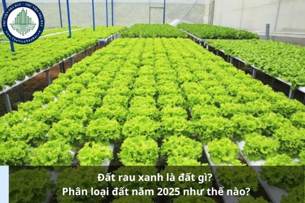 Đất rau xanh là đất gì? Phân loại đất năm 2025 như thế nào?