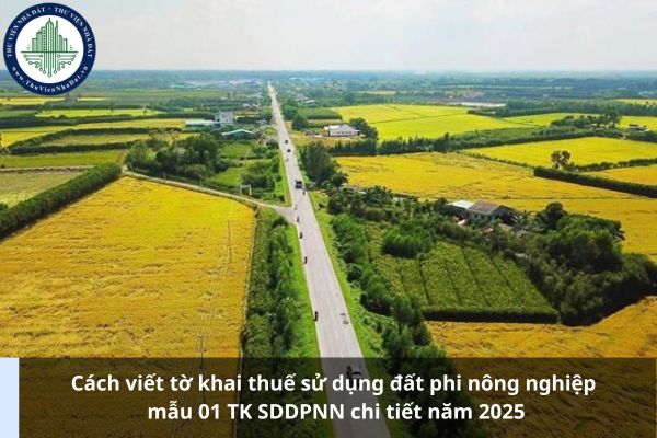 Cách viết tờ khai thuế sử dụng đất phi nông nghiệp mẫu 01 TK SDDPNN chi tiết năm 2025