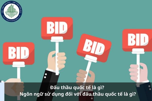 Đấu thầu quốc tế là gì? Ngôn ngữ sử dụng đối với đấu thầu quốc tế là gì?