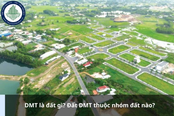 DMT là đất gì? Đất DMT thuộc nhóm đất nào?