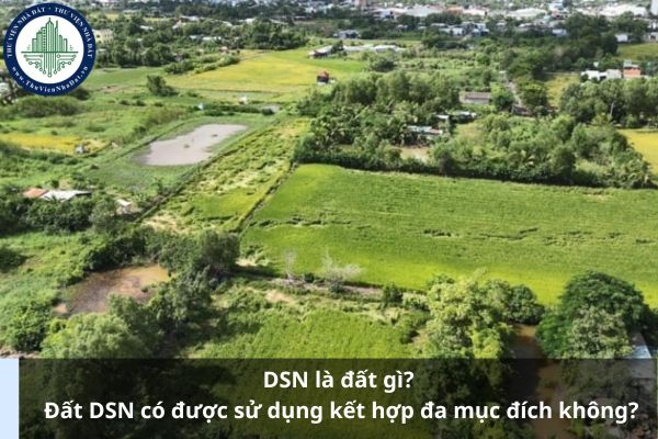 DSN là đất gì? Đất DSN có được sử dụng kết hợp đa mục đích không?