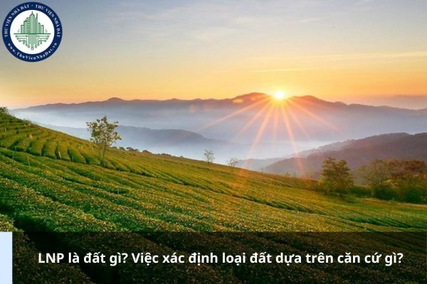 LNP là đất gì? Việc xác định loại đất dựa trên căn cứ gì?