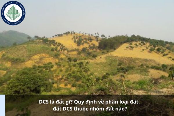 DCS là đất gì? Quy định về phân loại đất, đất DCS thuộc nhóm đất nào?