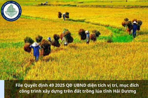 File Quyết định 49 2025 QĐ UBND diện tích vị trí, mục đích công trình xây dựng trên đất trồng lúa tỉnh Hải Dương