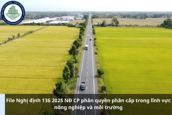 File Nghị định 136 2025 NĐ CP phân quyền phân cấp trong lĩnh vực nông nghiệp và môi trường