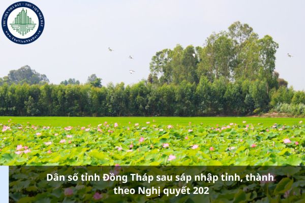 Dân số tỉnh Đồng Tháp sau sáp nhập tỉnh, thành theo Nghị quyết 202