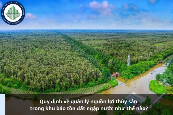 Quy định về quản lý nguồn lợi thủy sản trong khu bảo tồn đất ngập nước như thế nào?