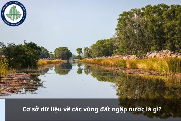 Cơ sở dữ liệu về các vùng đất ngập nước là gì?