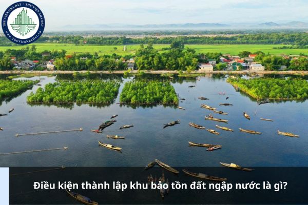 Điều kiện thành lập khu bảo tồn đất ngập nước là gì?