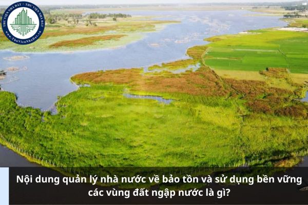 Nội dung quản lý nhà nước về bảo tồn và sử dụng bền vững các vùng đất ngập nước là gì?
