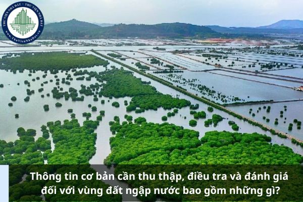 Thông tin cơ bản cần thu thập, điều tra và đánh giá đối với vùng đất ngập nước bao gồm những gì?