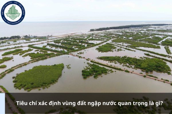 Tiêu chí xác định vùng đất ngập nước quan trọng là gì?