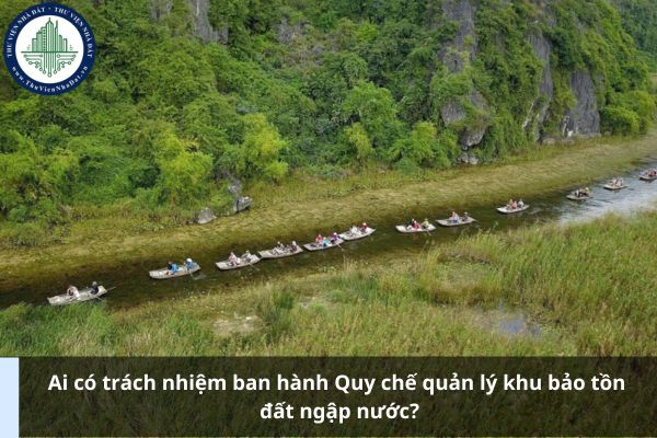 Ai có trách nhiệm ban hành Quy chế quản lý khu bảo tồn đất ngập nước?