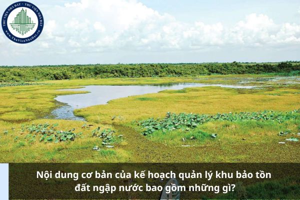 Nội dung cơ bản của kế hoạch quản lý khu bảo tồn đất ngập nước bao gồm những gì?