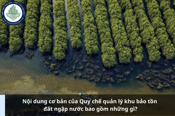 Nội dung cơ bản của Quy chế quản lý khu bảo tồn đất ngập nước bao gồm những gì?