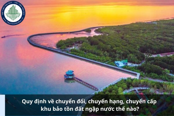 Quy định về chuyển đổi, chuyển hạng, chuyển cấp khu bảo tồn đất ngập nước thế nào?