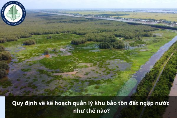 Quy định về kế hoạch quản lý khu bảo tồn đất ngập nước như thế nào?