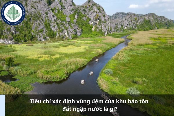 Tiêu chí xác định vùng đệm của khu bảo tồn đất ngập nước là gì?