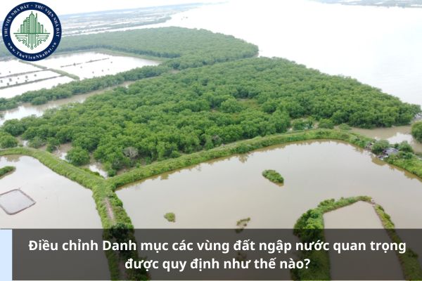 Điều chỉnh Danh mục các vùng đất ngập nước quan trọng được quy định như thế nào?