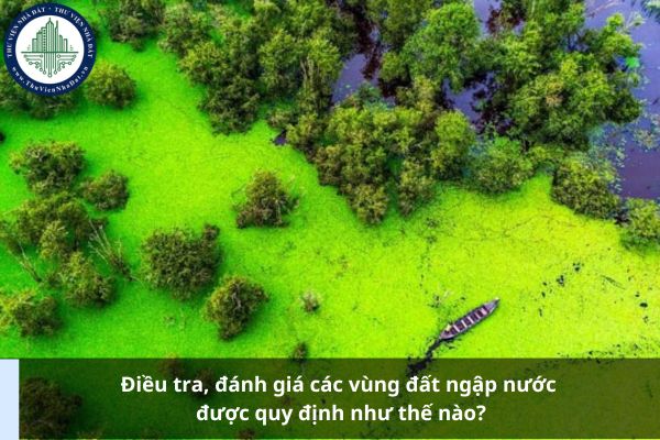 Điều tra, đánh giá các vùng đất ngập nước được quy định như thế nào?
