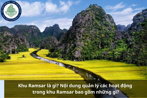 Khu Ramsar là gì? Nội dung quản lý các hoạt động trong khu Ramsar bao gồm những gì?