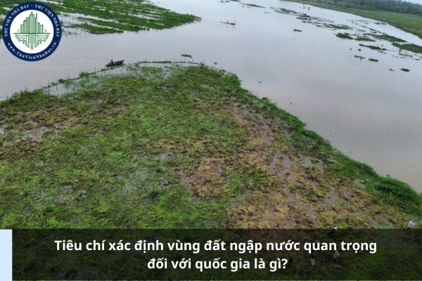 Tiêu chí xác định vùng đất ngập nước quan trọng đối với quốc gia là gì? 