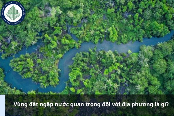 Vùng đất ngập nước quan trọng đối với địa phương là gì?