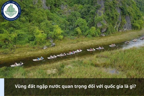 Vùng đất ngập nước quan trọng đối với quốc gia là gì?