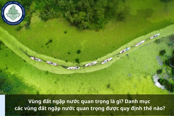 Vùng đất ngập nước quan trọng là gì? Danh mục các vùng đất ngập nước quan trọng được quy định thế nào?