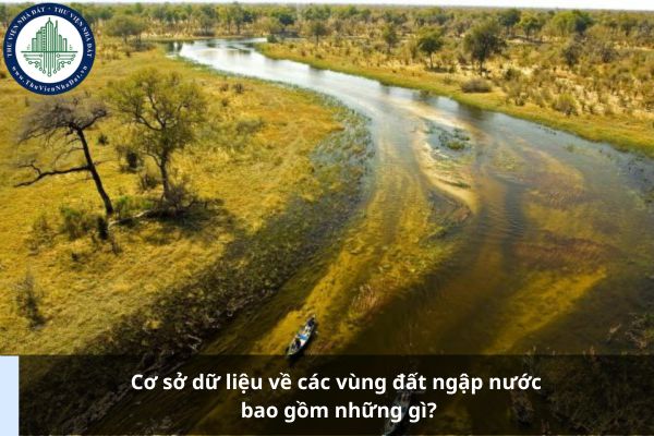 Cơ sở dữ liệu về các vùng đất ngập nước bao gồm những gì?