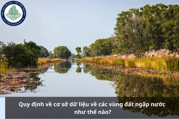 Quy định về cơ sở dữ liệu về các vùng đất ngập nước như thế nào?