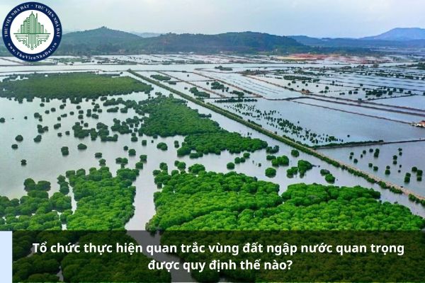 Tổ chức thực hiện quan trắc vùng đất ngập nước quan trọng được quy định thế nào?