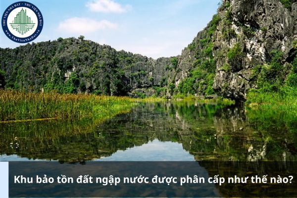 Khu bảo tồn đất ngập nước được phân cấp như thế nào?