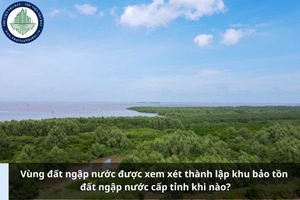 Vùng đất ngập nước được xem xét thành lập khu bảo tồn đất ngập nước cấp tỉnh khi nào?