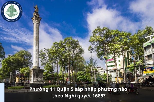 Phường 11 Quận 5 sáp nhập phường nào theo Nghị quyết 1685?